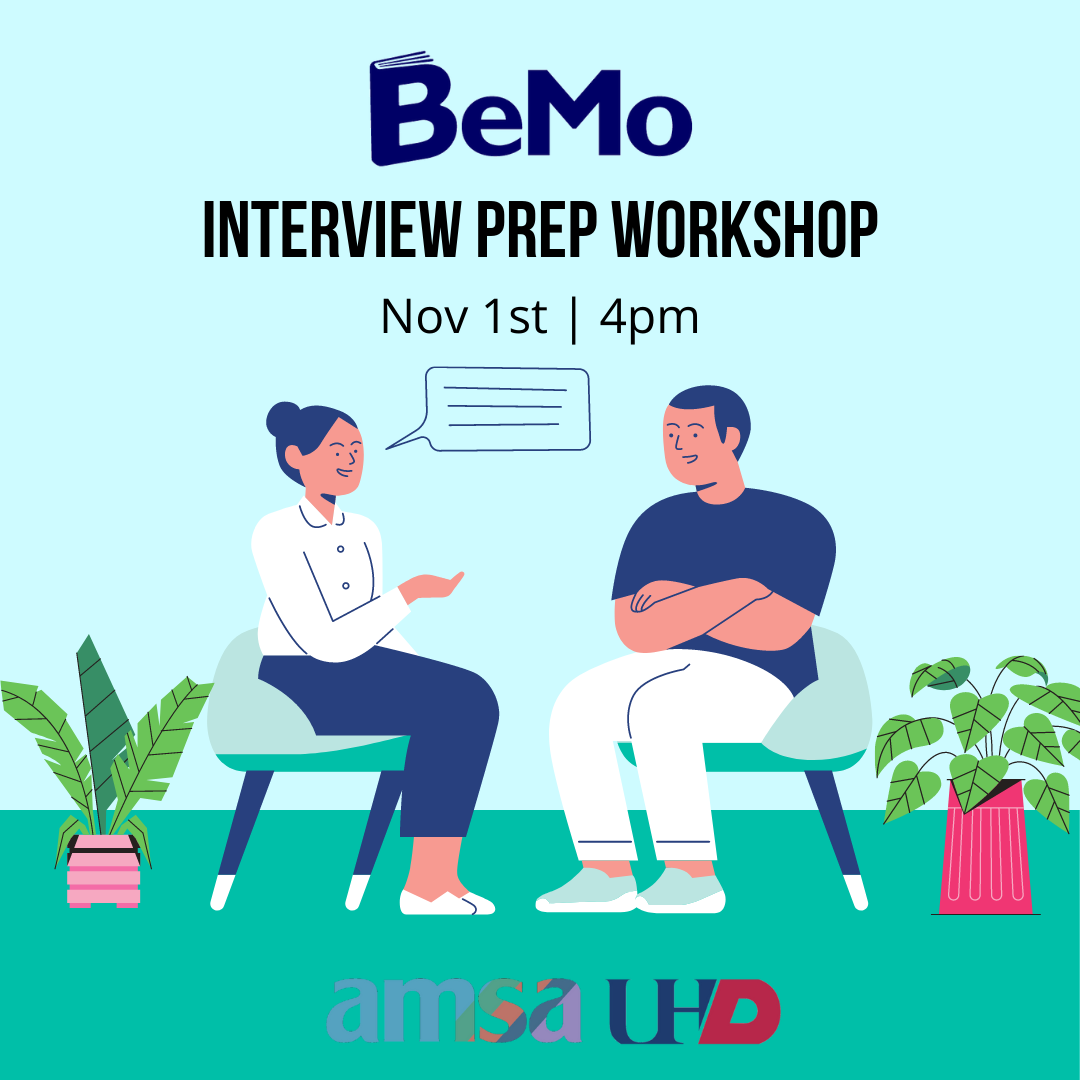 BeMo interview workshop